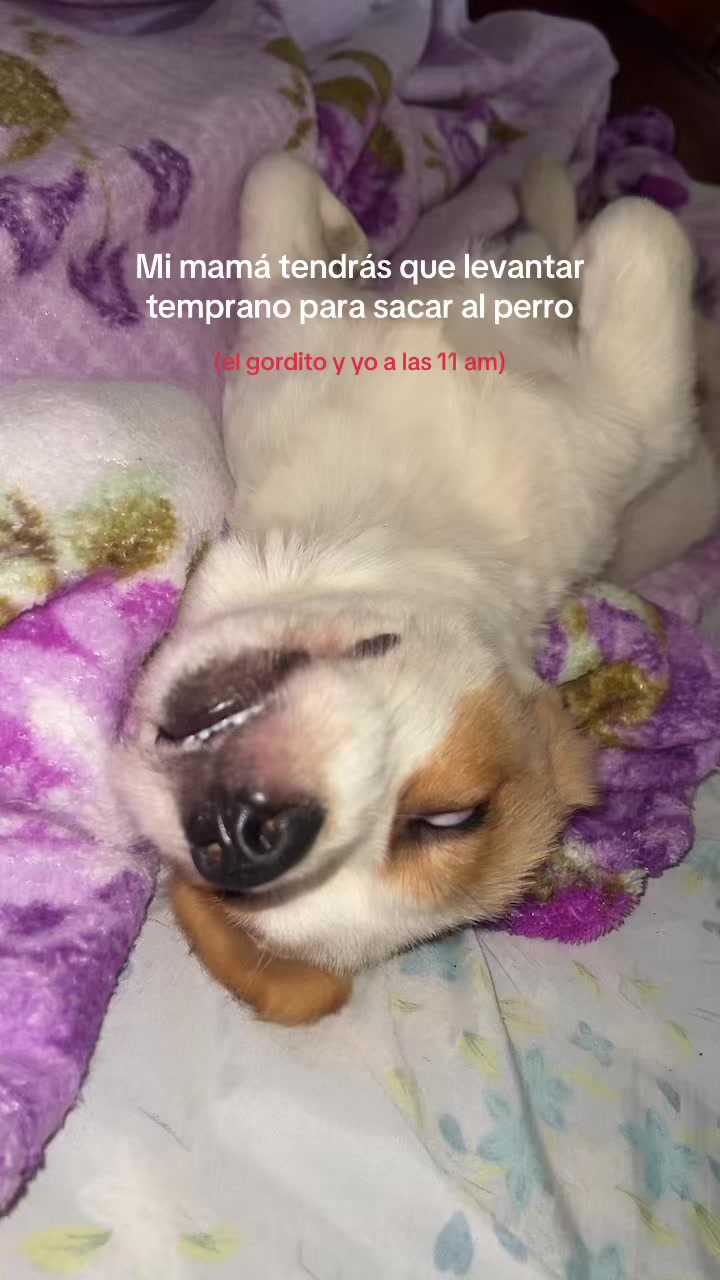 @CUENTA NO ENCONTRADA