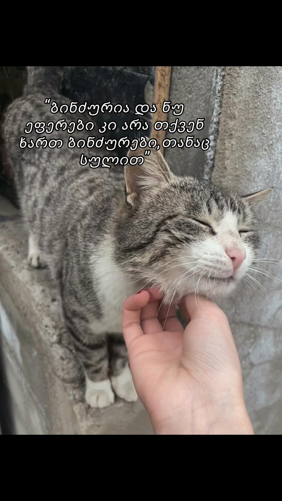 @🪽🪽