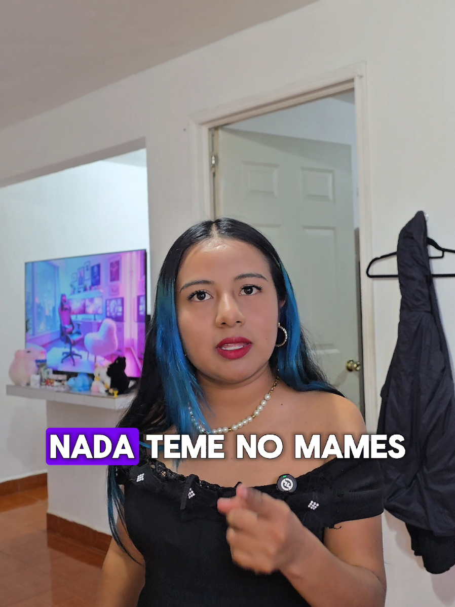 @nikki palestino