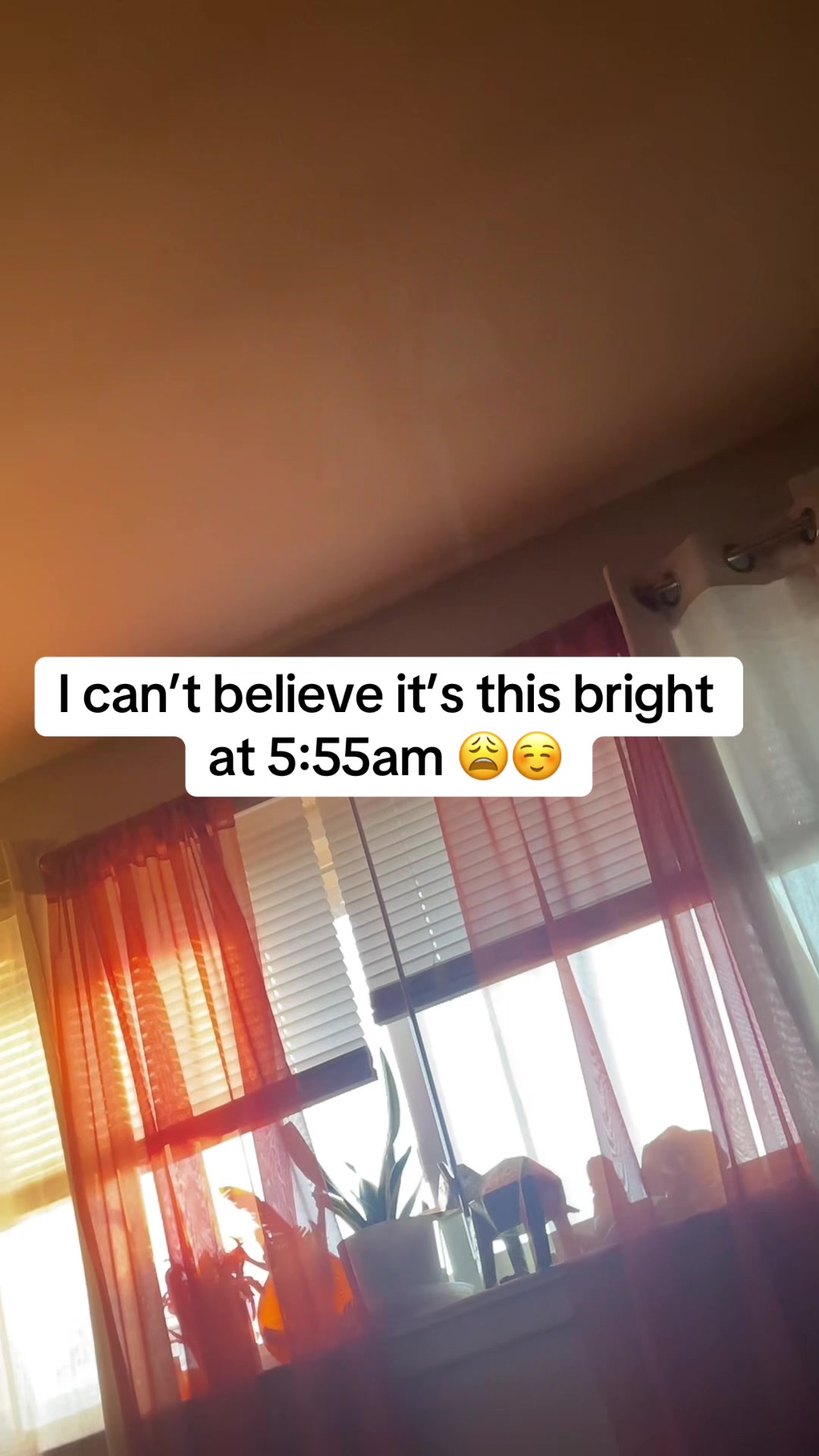 @Tamia Does It All
