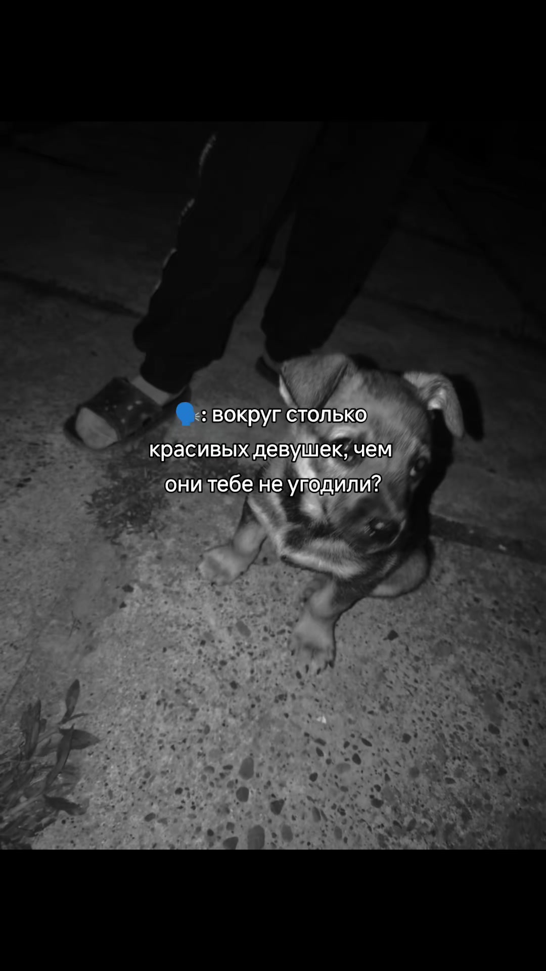 @ТТ°ŁĨMŨR