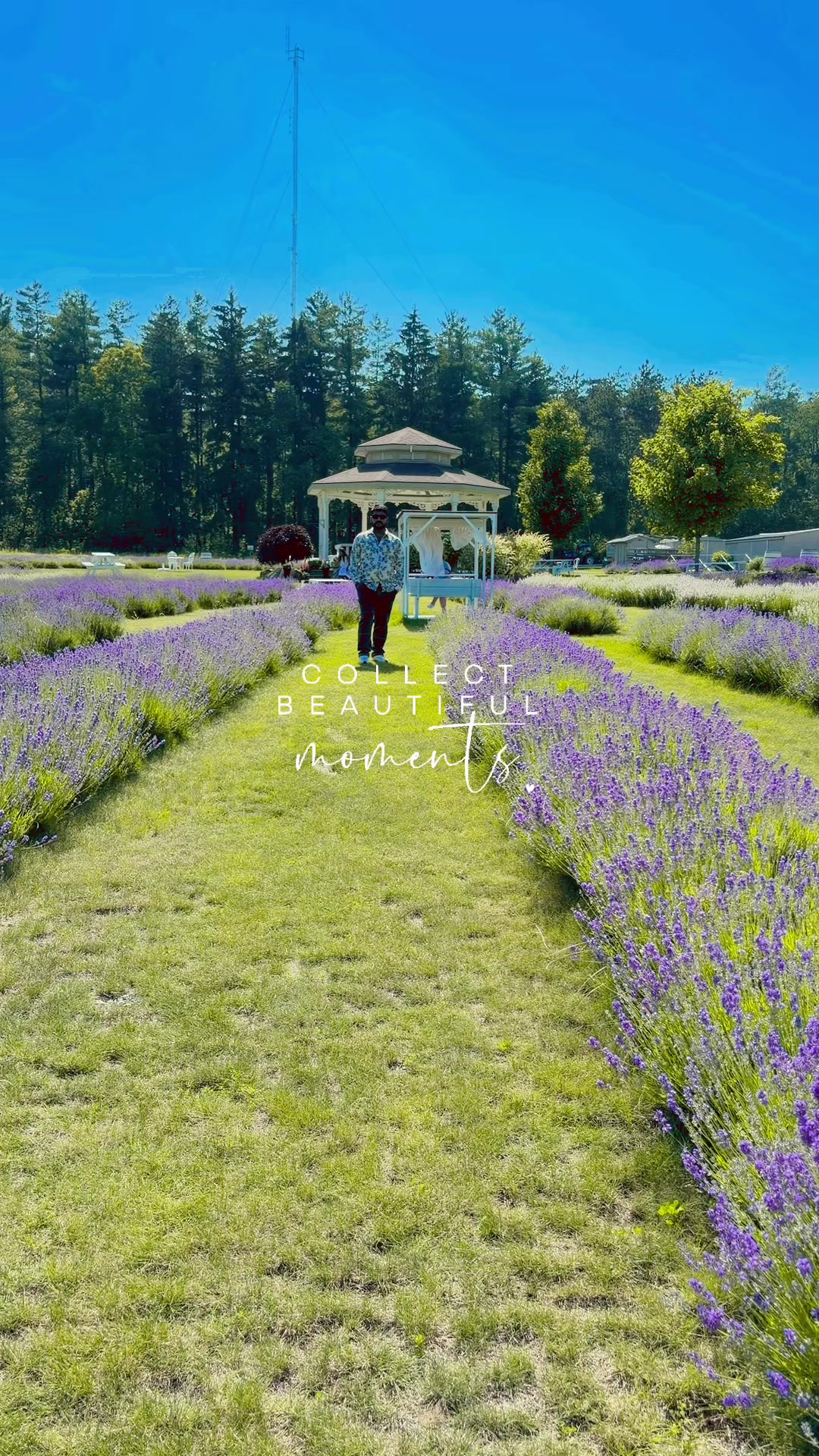@CEO TikTok 🇨🇦