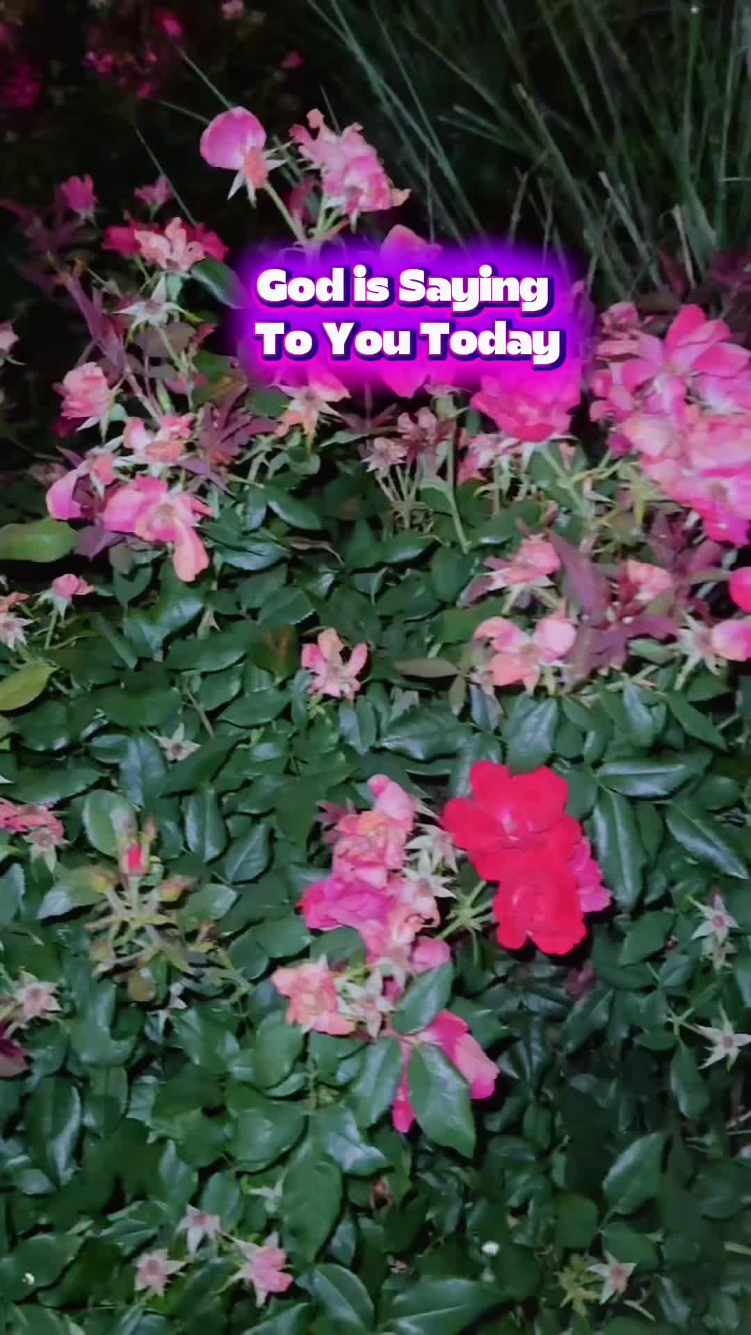 @Soothing Peaceful