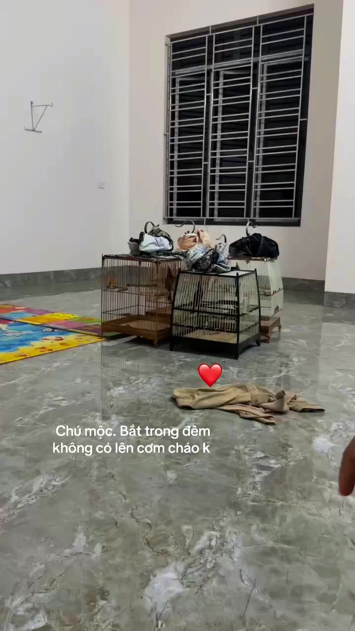 @Chaomaohaiduong34
