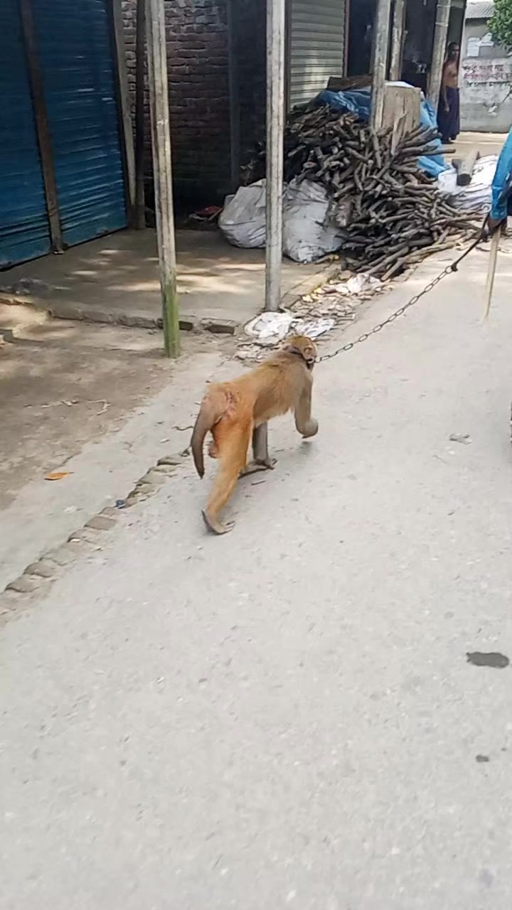 @❤️ নবাব❤️