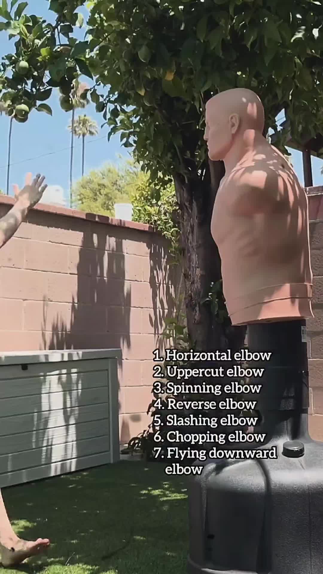 @MR ubaadah.⚘️