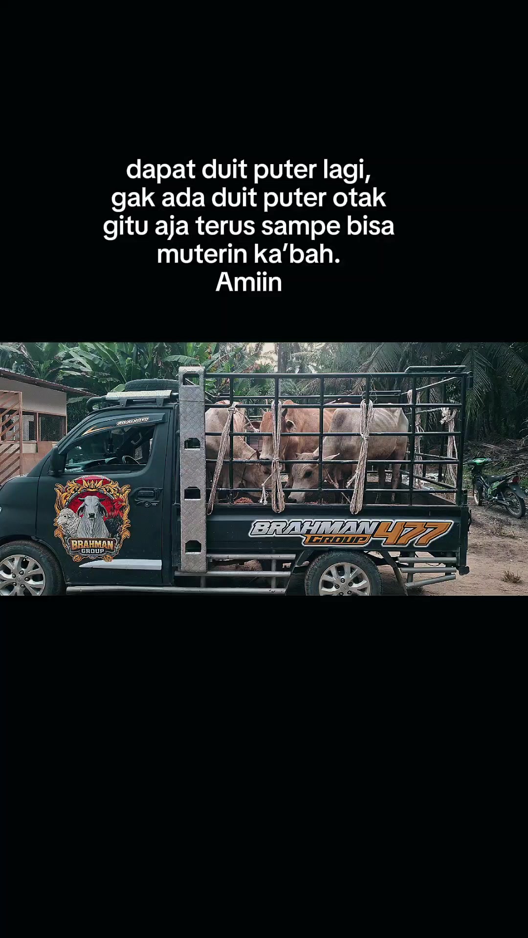 @Adzi BRAHMAN GROUP 447