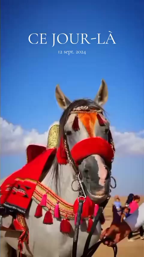 @bader ._. โค๏ธ๐ฅ๐ด๐