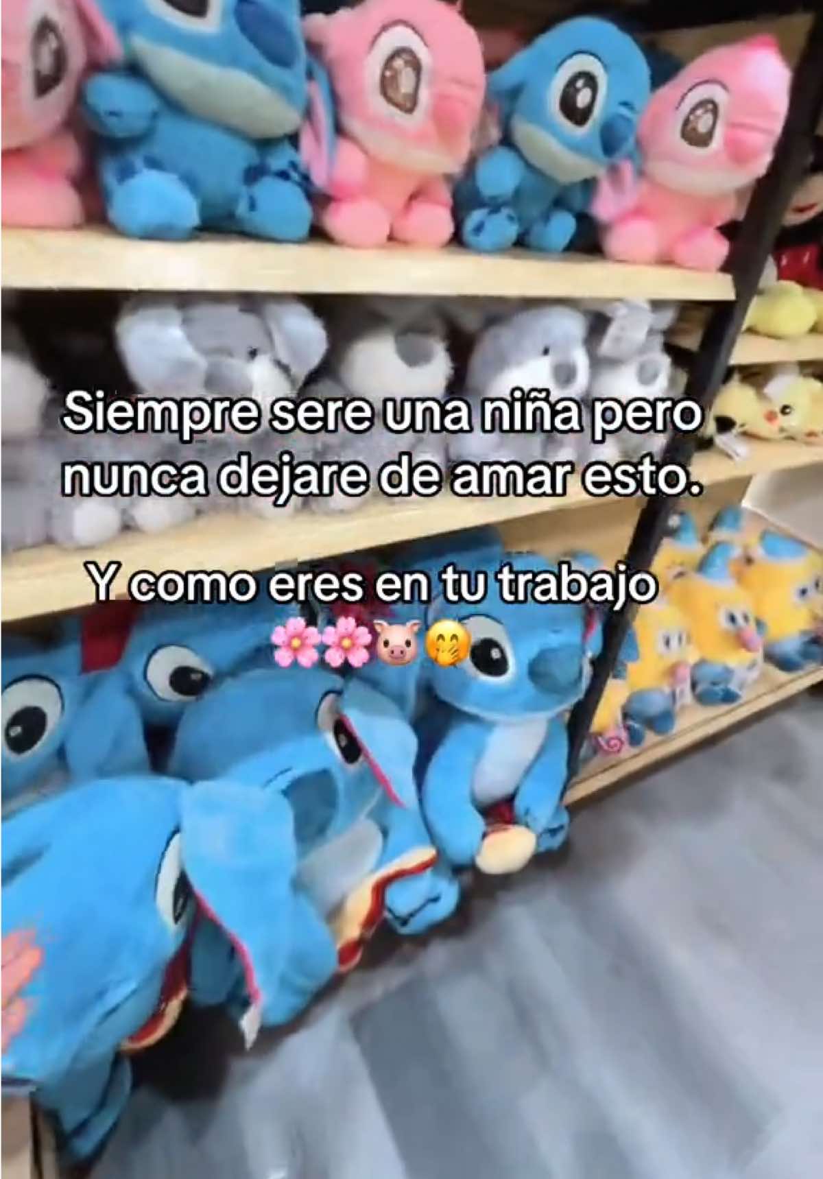 @Teffy🤍✨