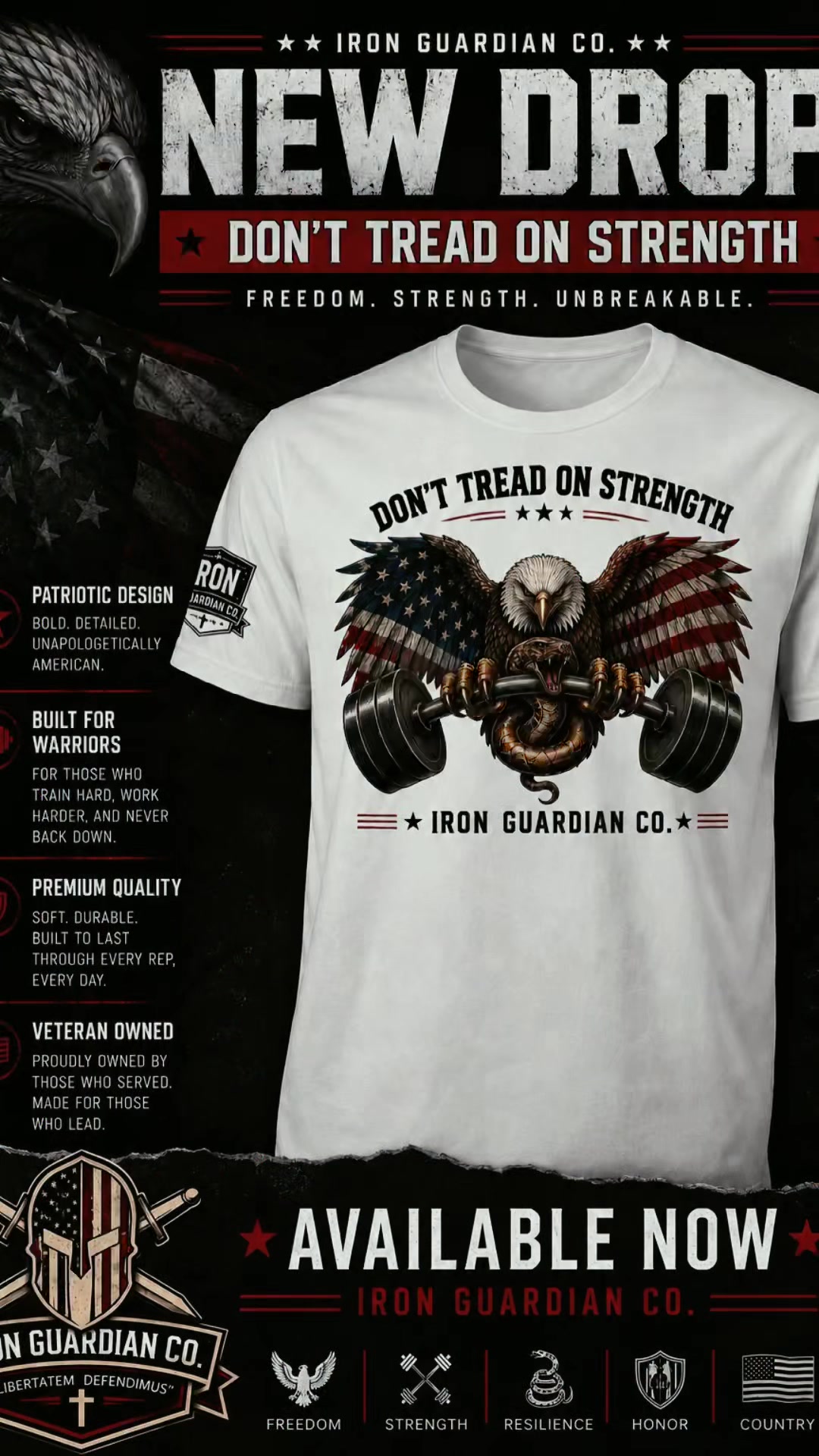 @Iron Guardian Co.