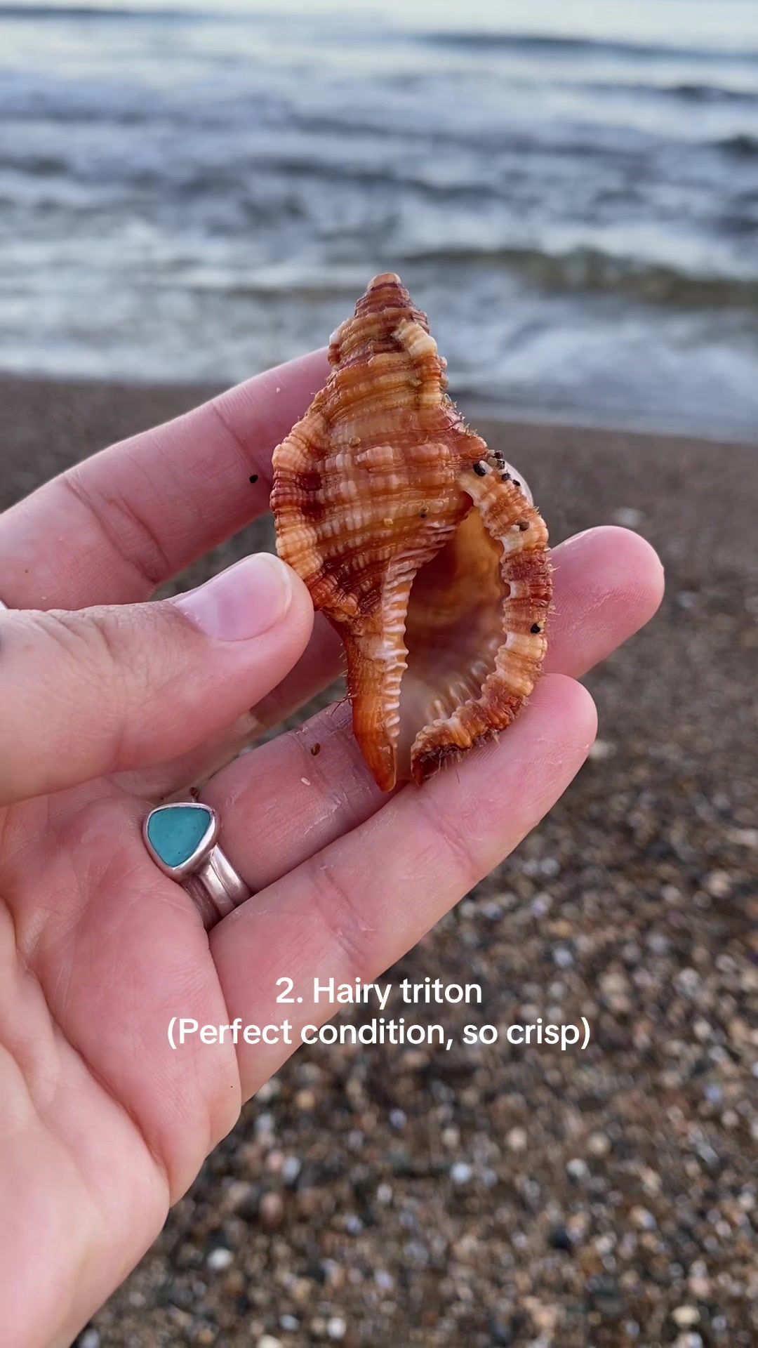 @🐚Jojo🌴