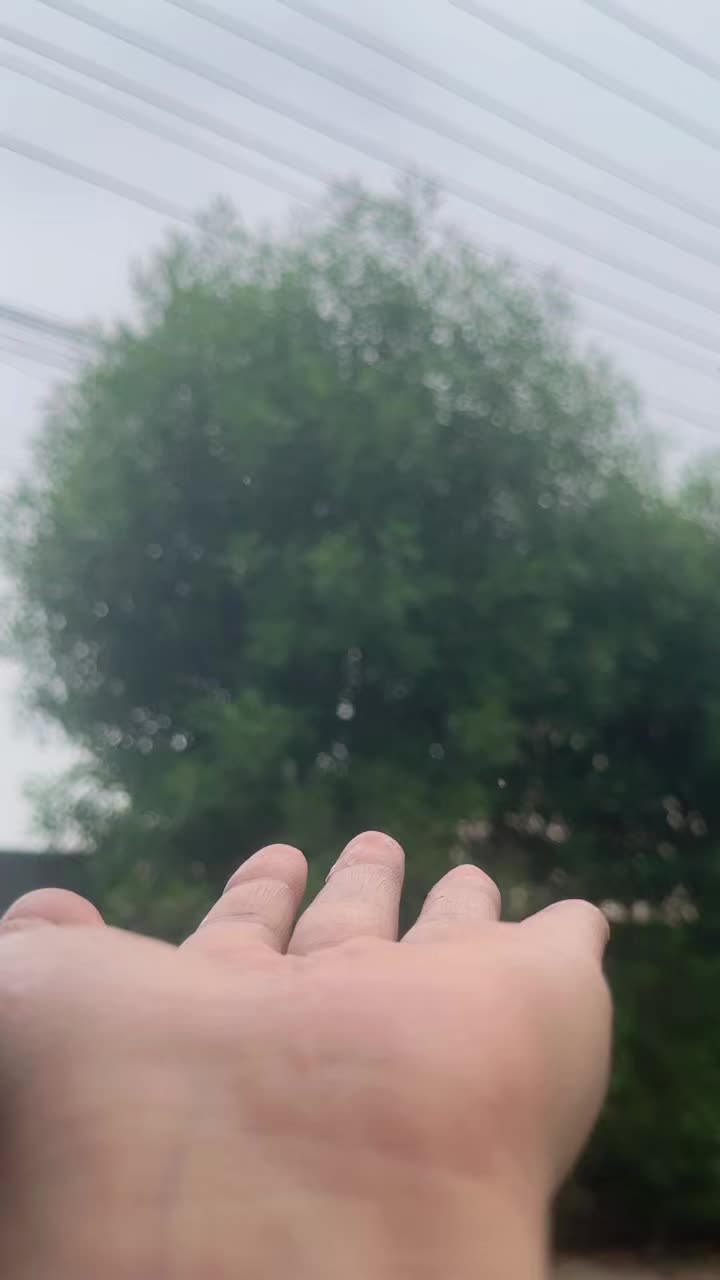 @سائرہ عزیز💕