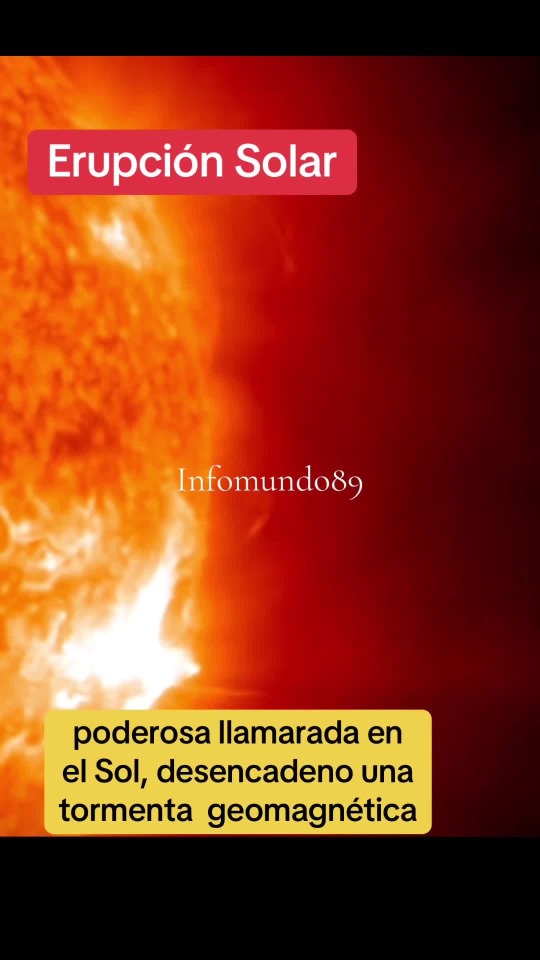 @Infomundo89