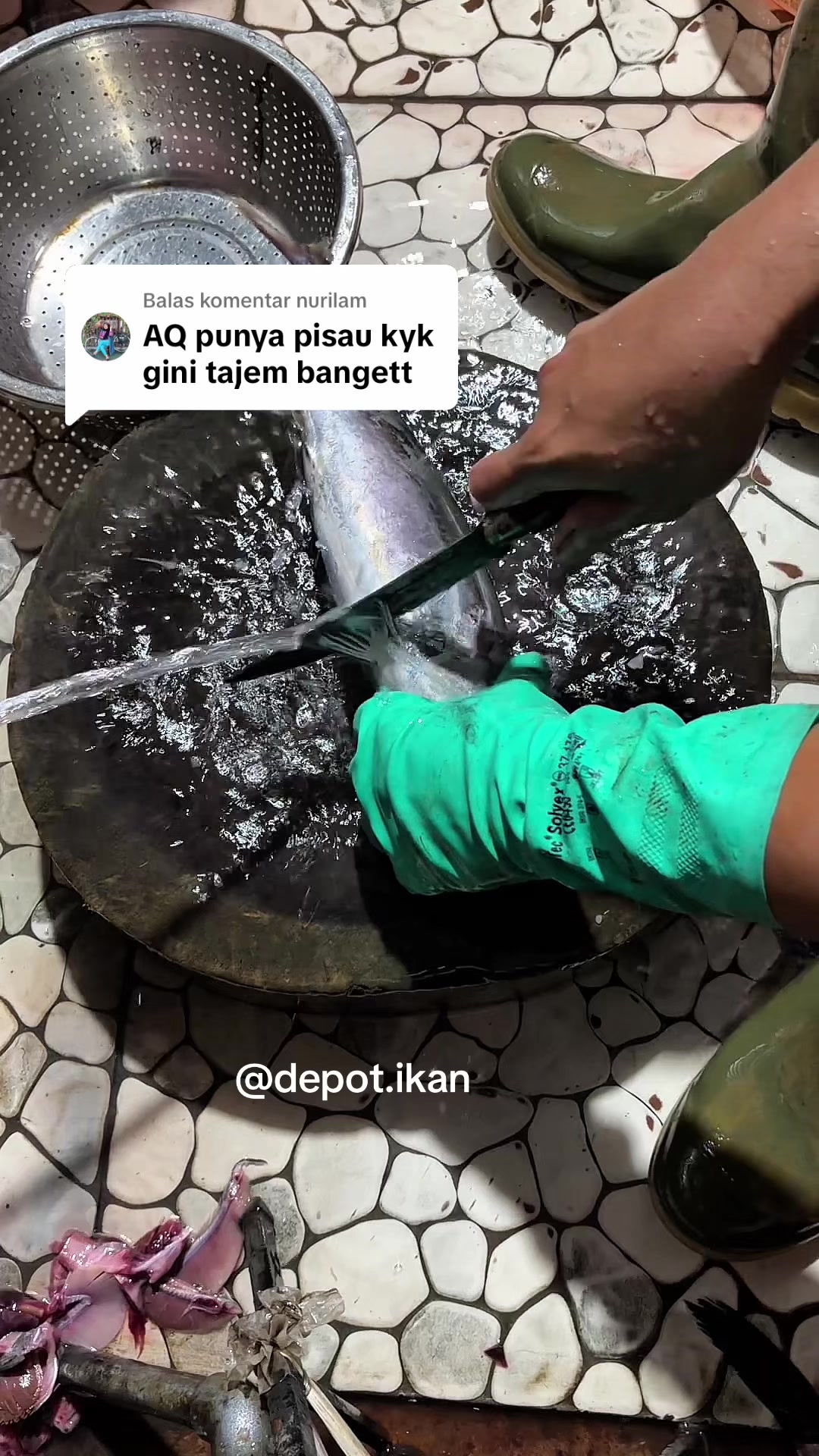 @Depot Ikan