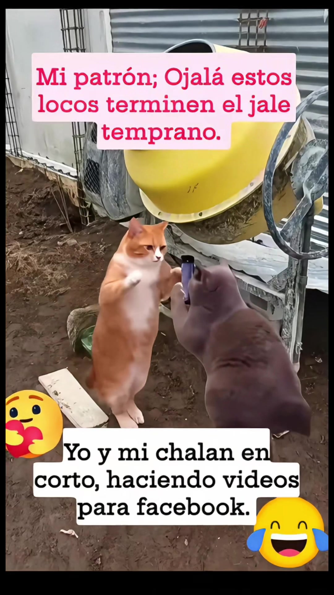 @Pedro Cruz
