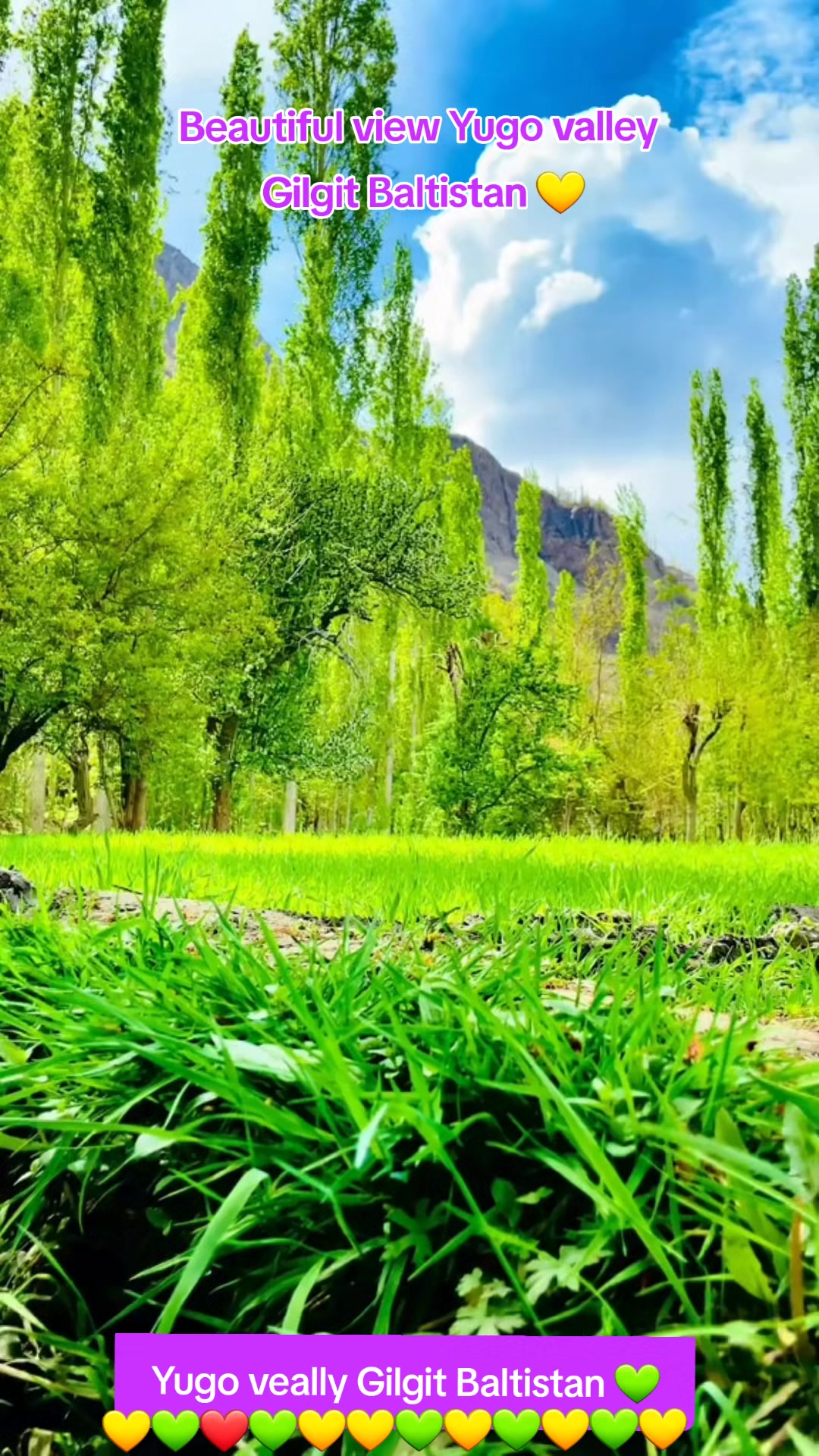 @𝕾û𝖑𝖊𝖒𝖆𝖓🥀سُلَيْمَان