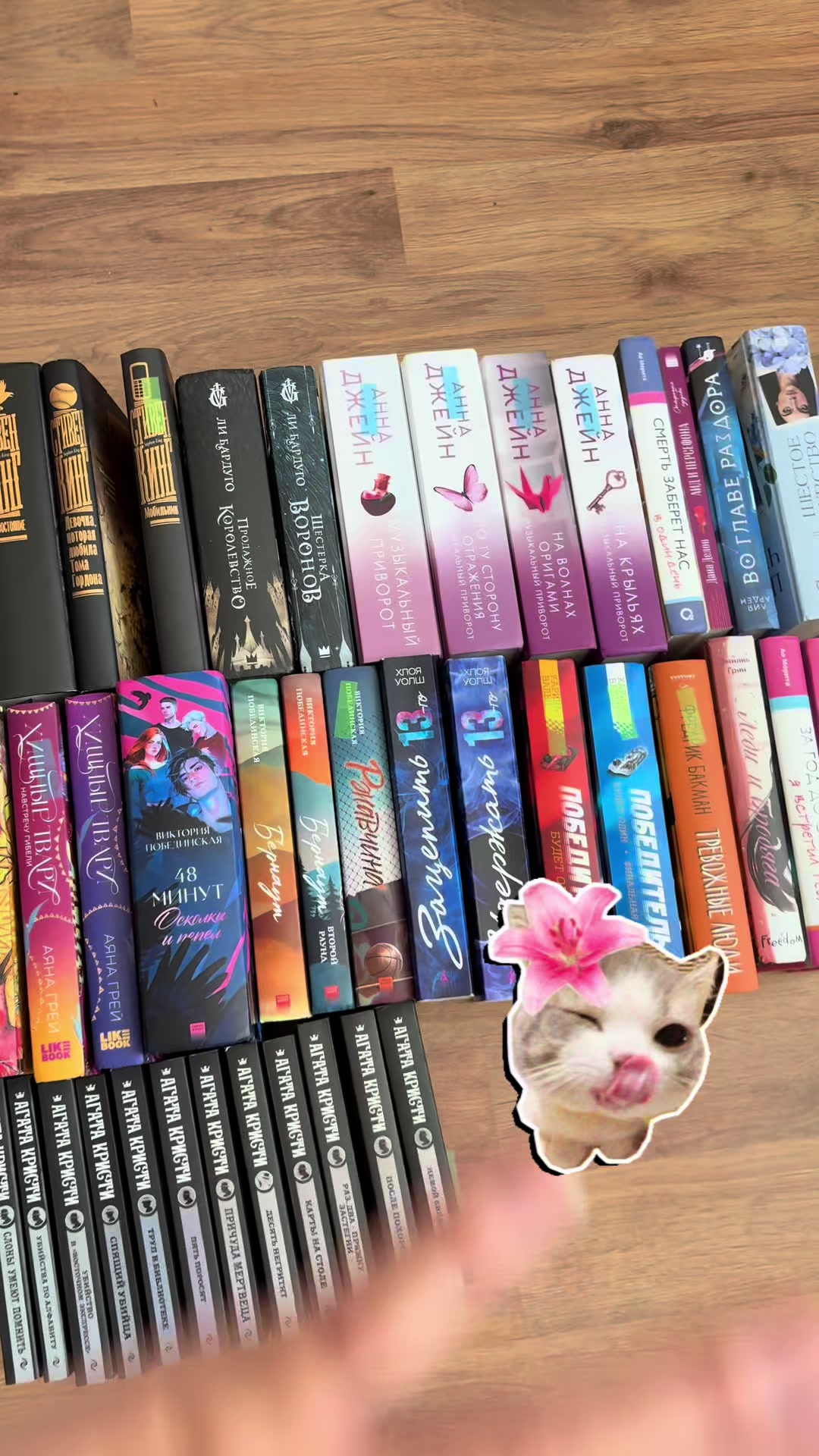@Книжная хулиганка 📚