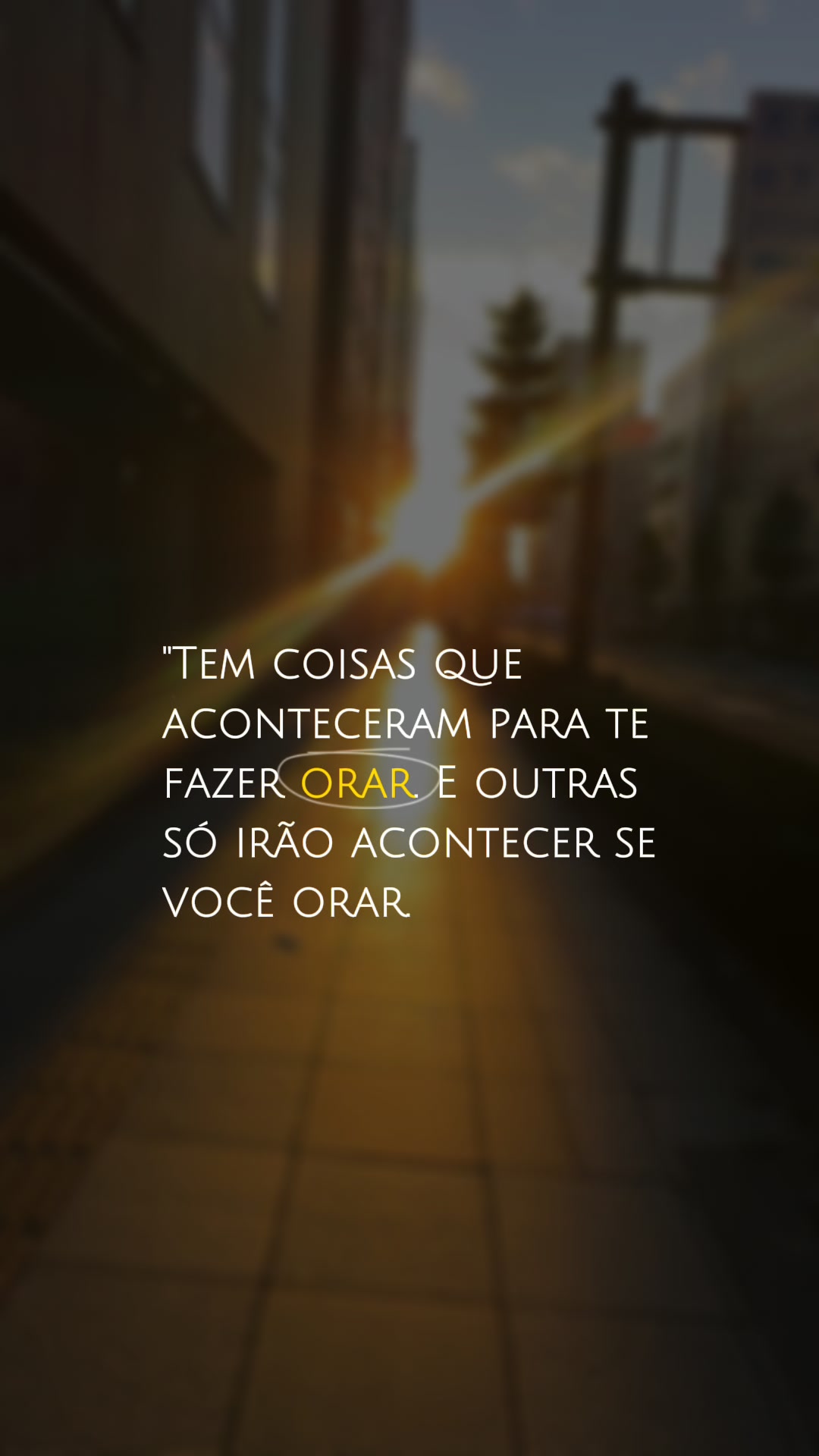 @Bruno Muraichi