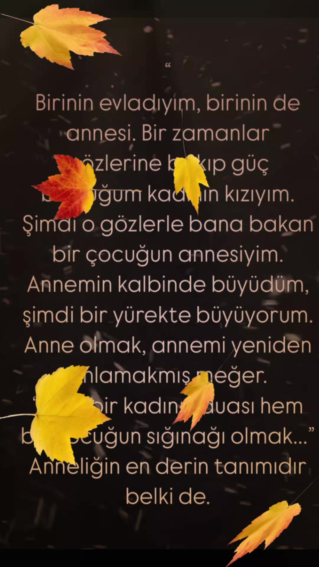 @💗💗  Beyaz kuğuuu 💗💗