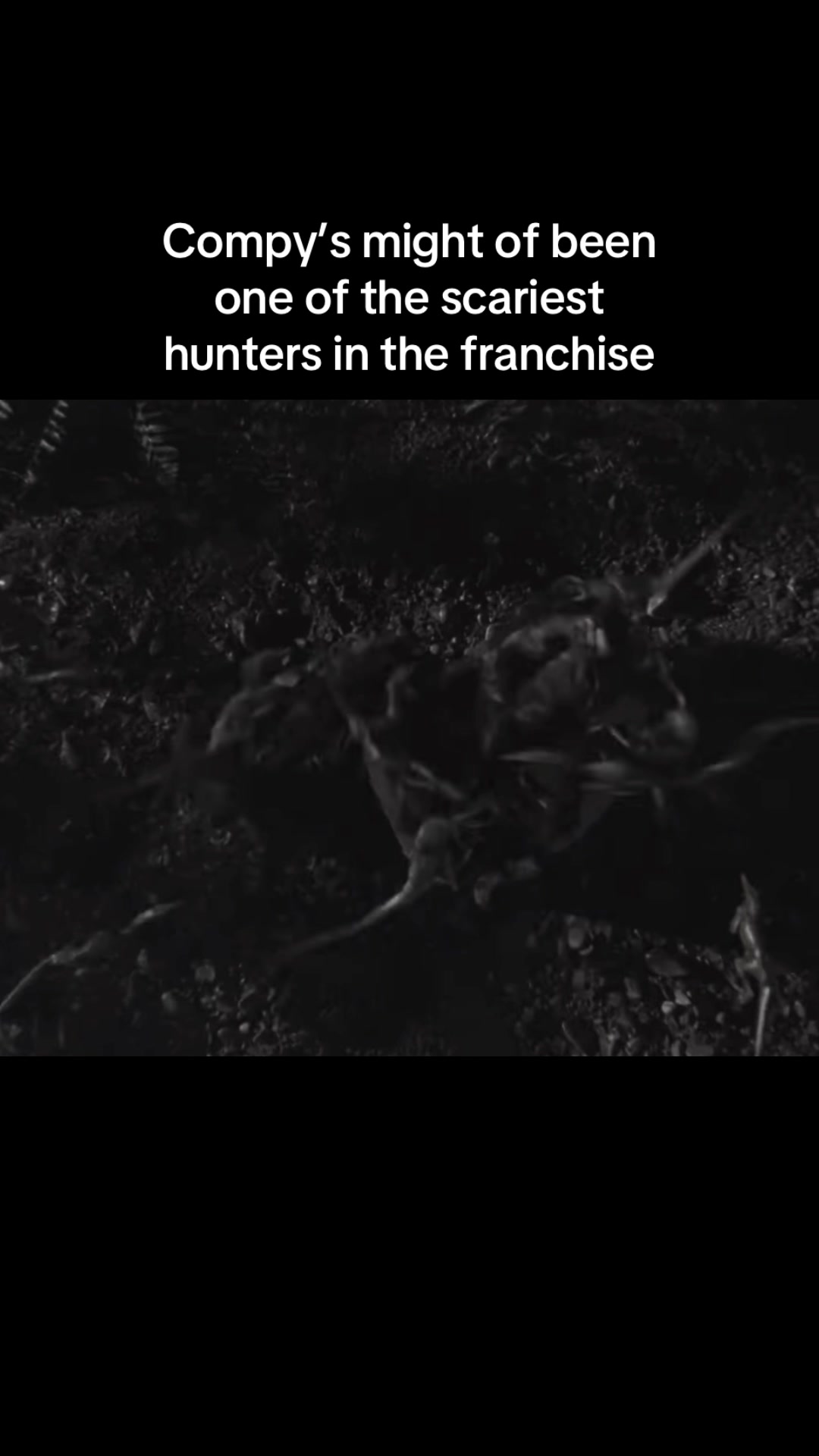 @Jurassic hatchling