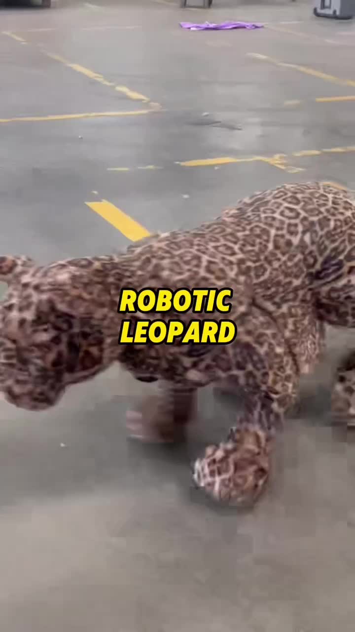 @ZGDinosaur