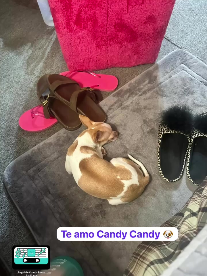 @Carola