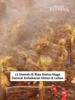 @mediaindonesia