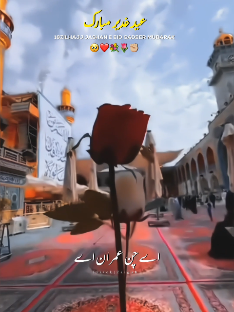 @𝐙𝐀𝐈ن𝐀𝐛ރ