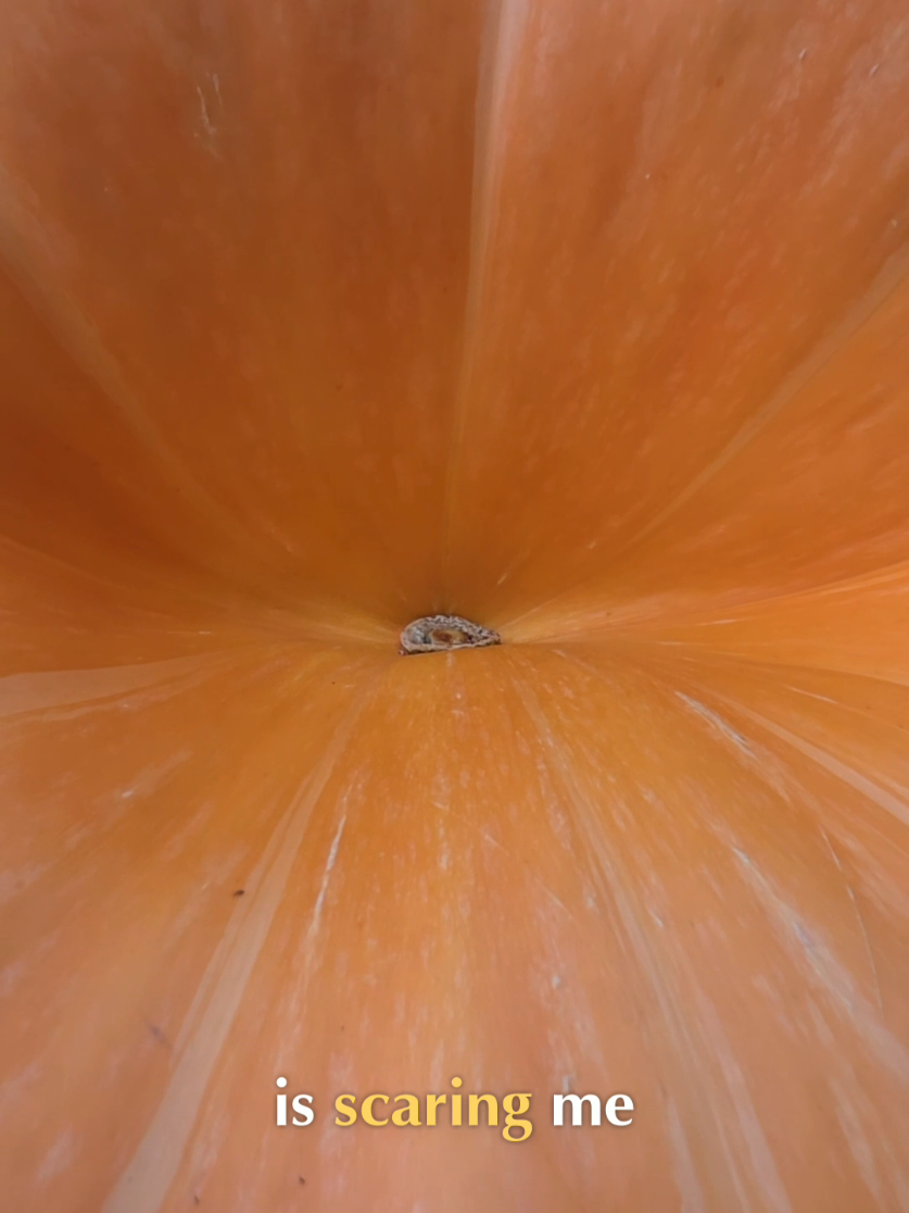 @Pumpkinista
