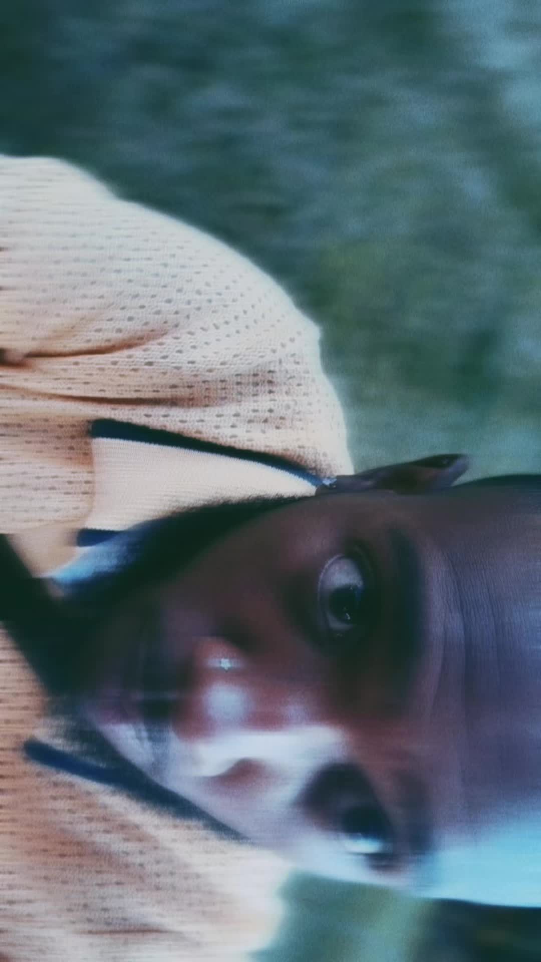 @Livingstaan