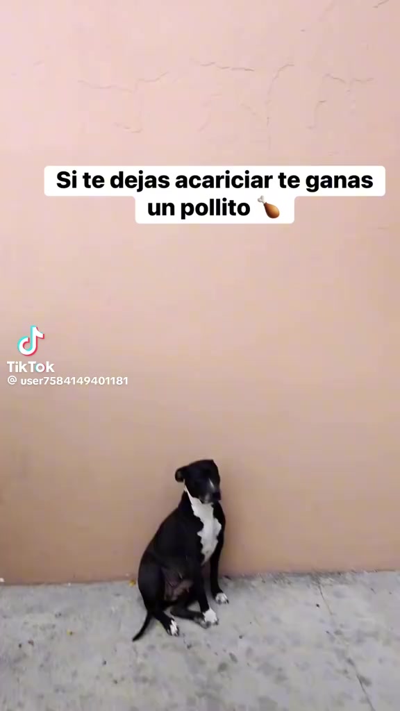 @JAVIER FERNANDO🪽🍭