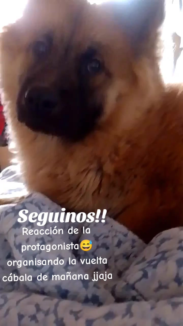 @Meyli Presiosita