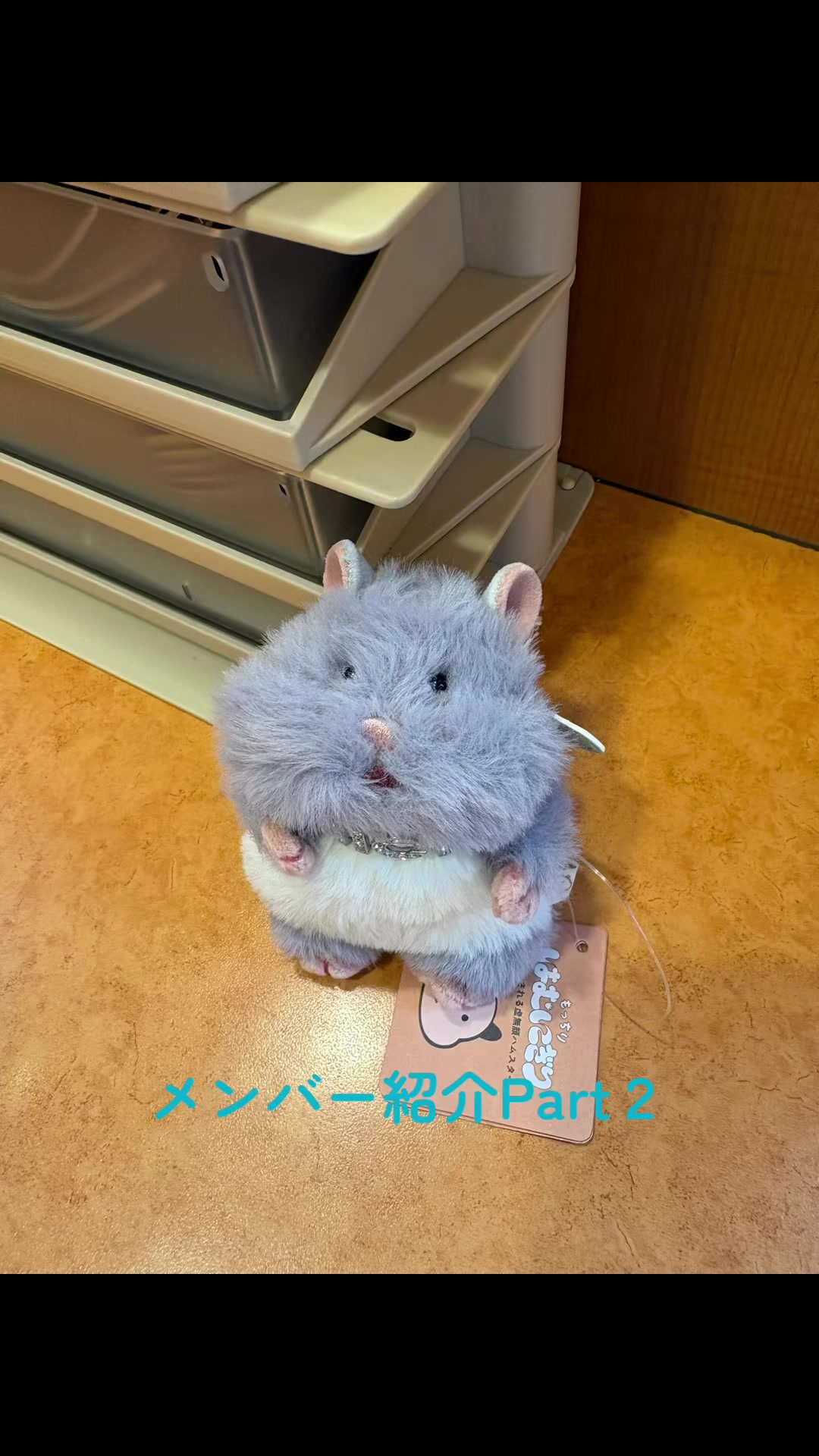 @はむにぎるね🌙