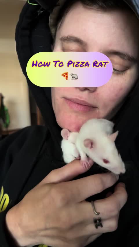 @Nosies and Toesies Rattery