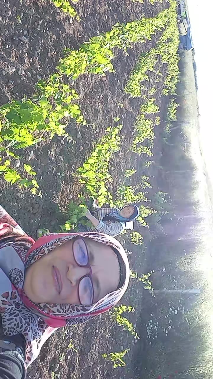 @sevgiaslan4758