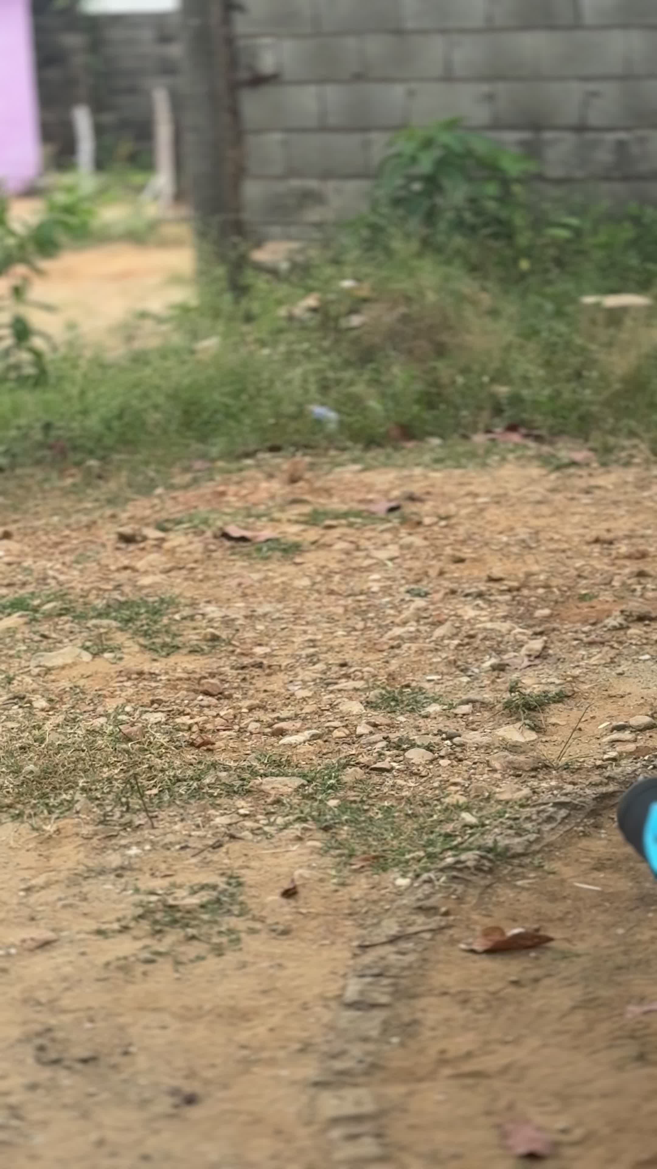 @Sebastián Soto☘️