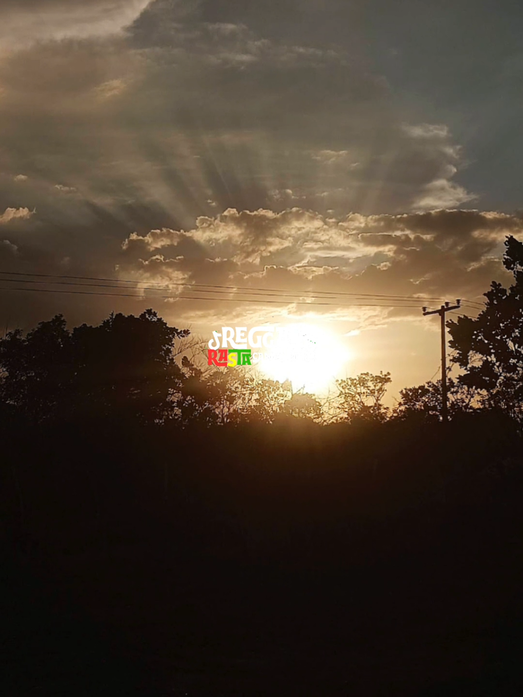 @REGGAE RASTA CM