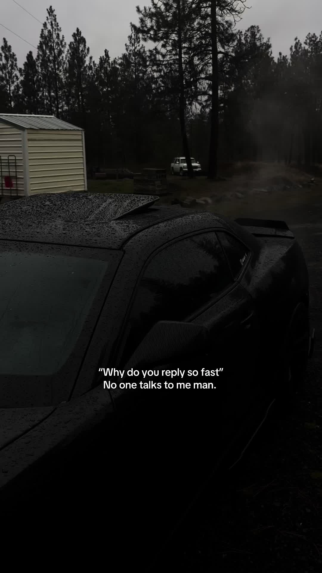 @midnight_zl1