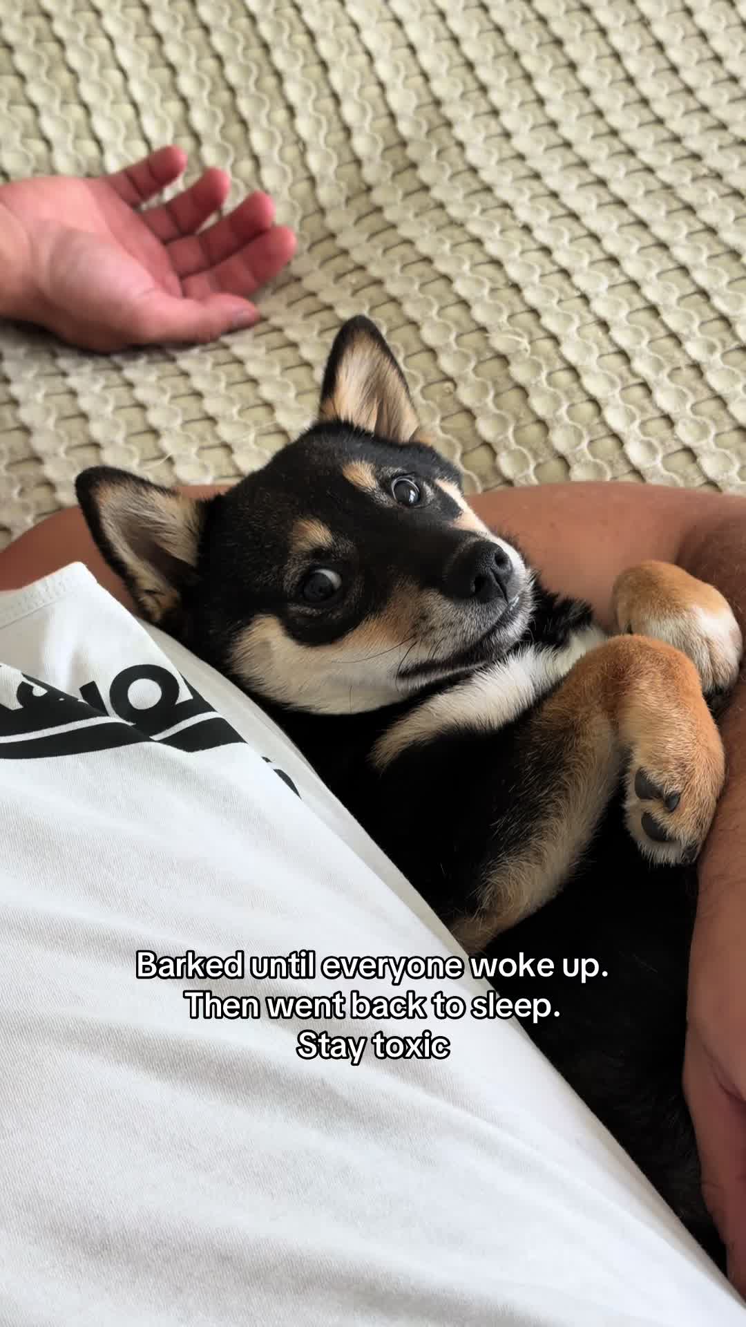 @Jessy & Lexi 🐾