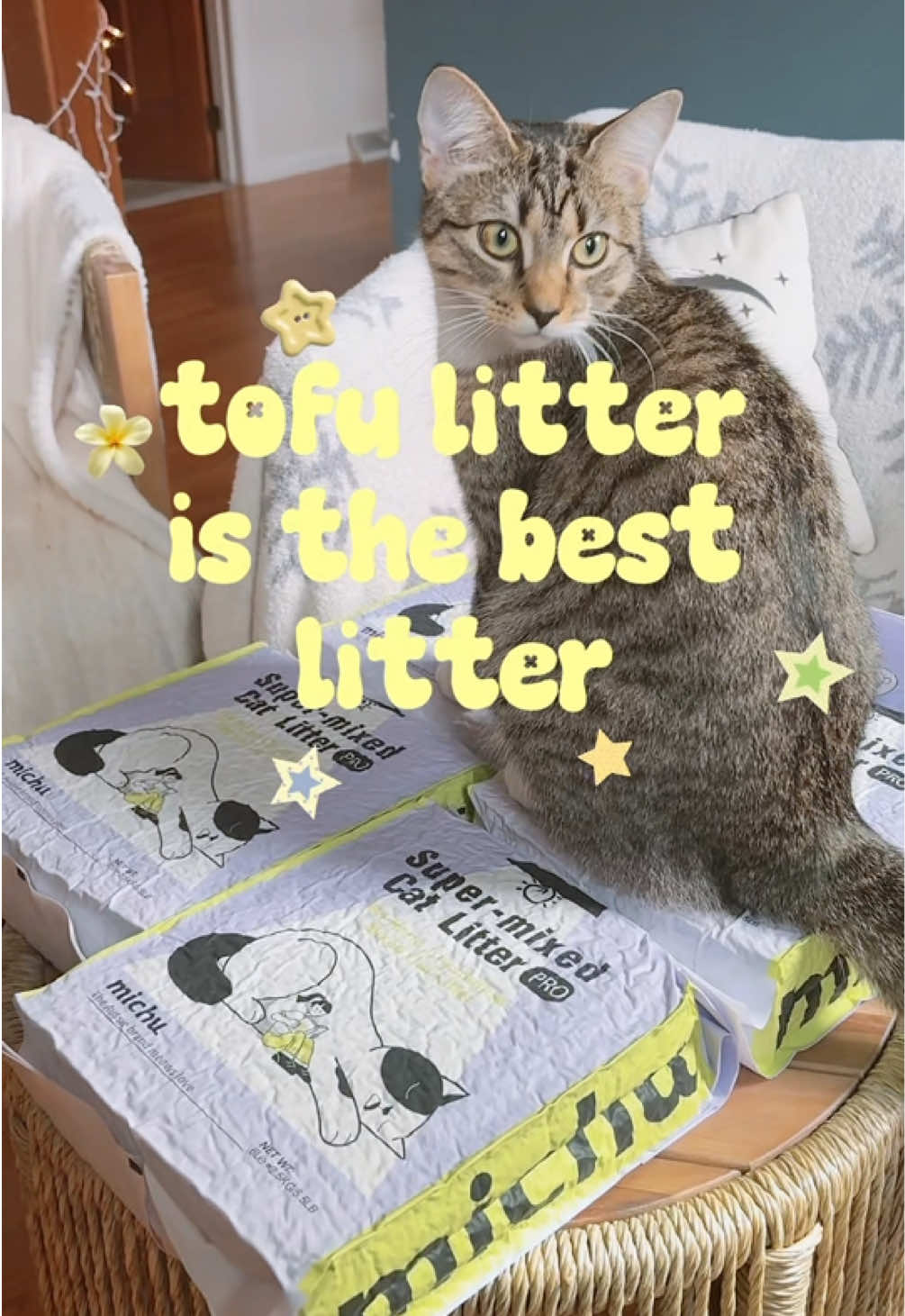 @Juno 💫🐈