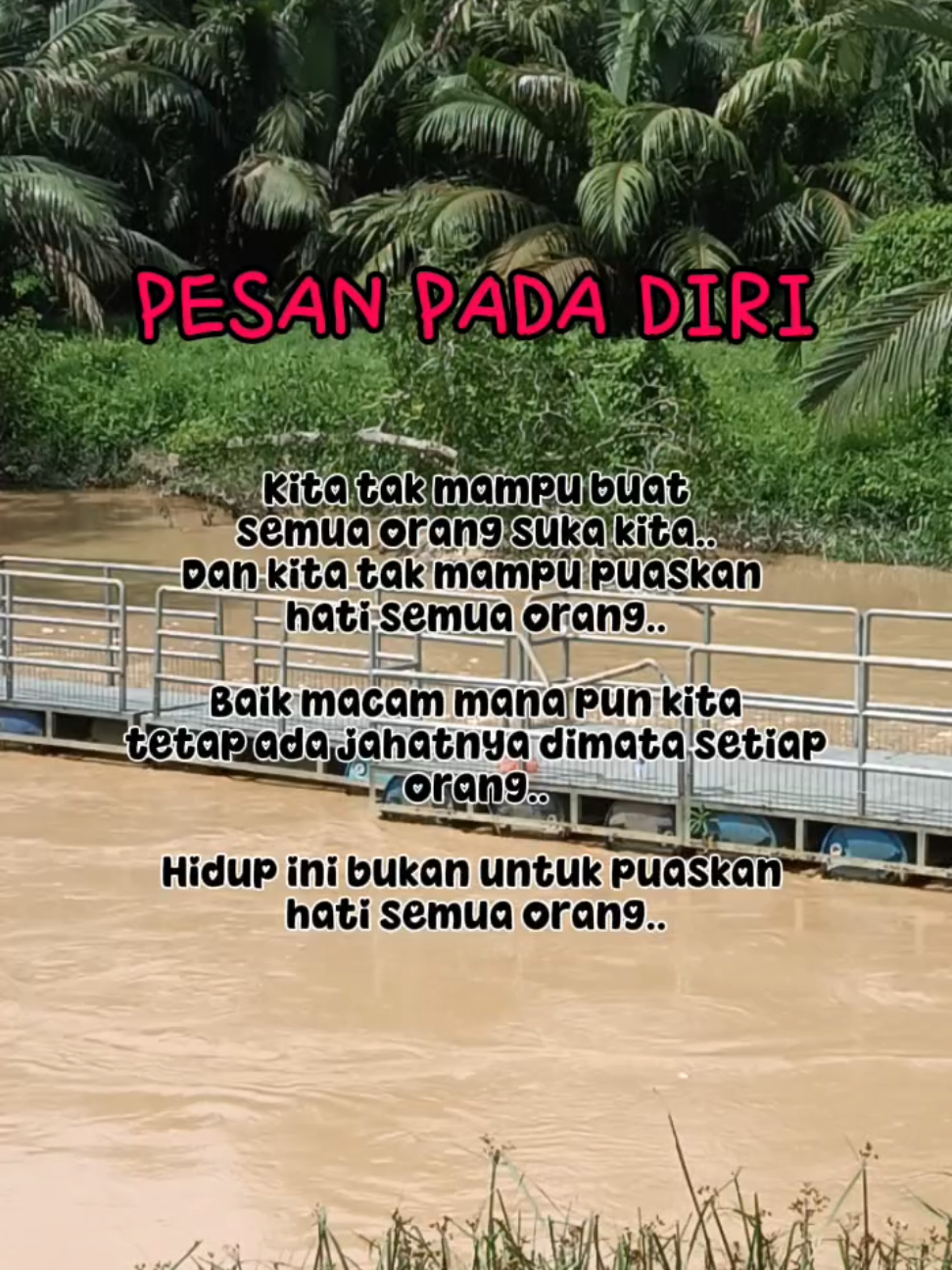 @Aini Lani