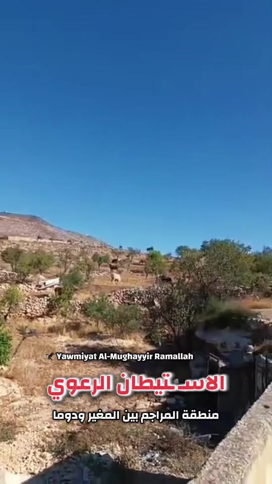 @Yawmiyat AlMughayir–Ramallah🦅
