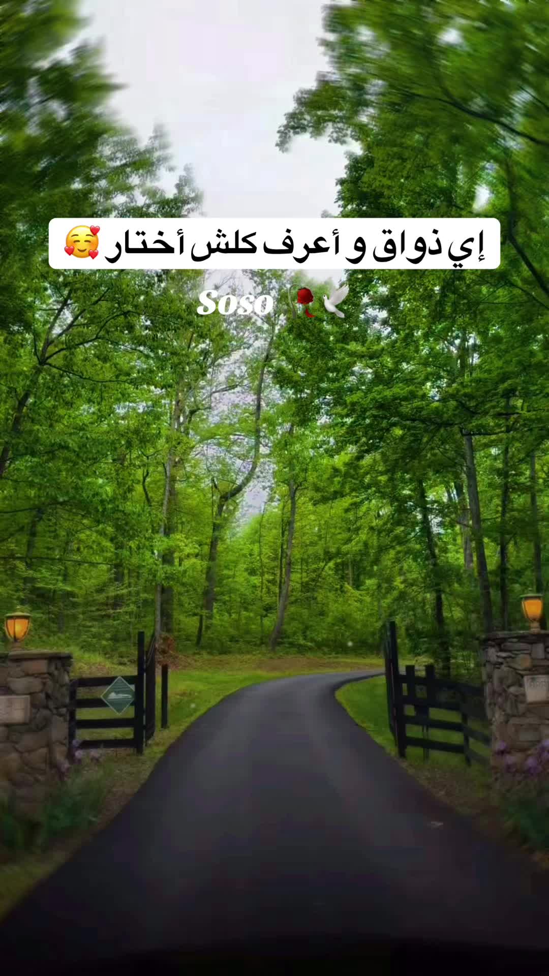 @༊෴✿ سوسو ✿〄࿐