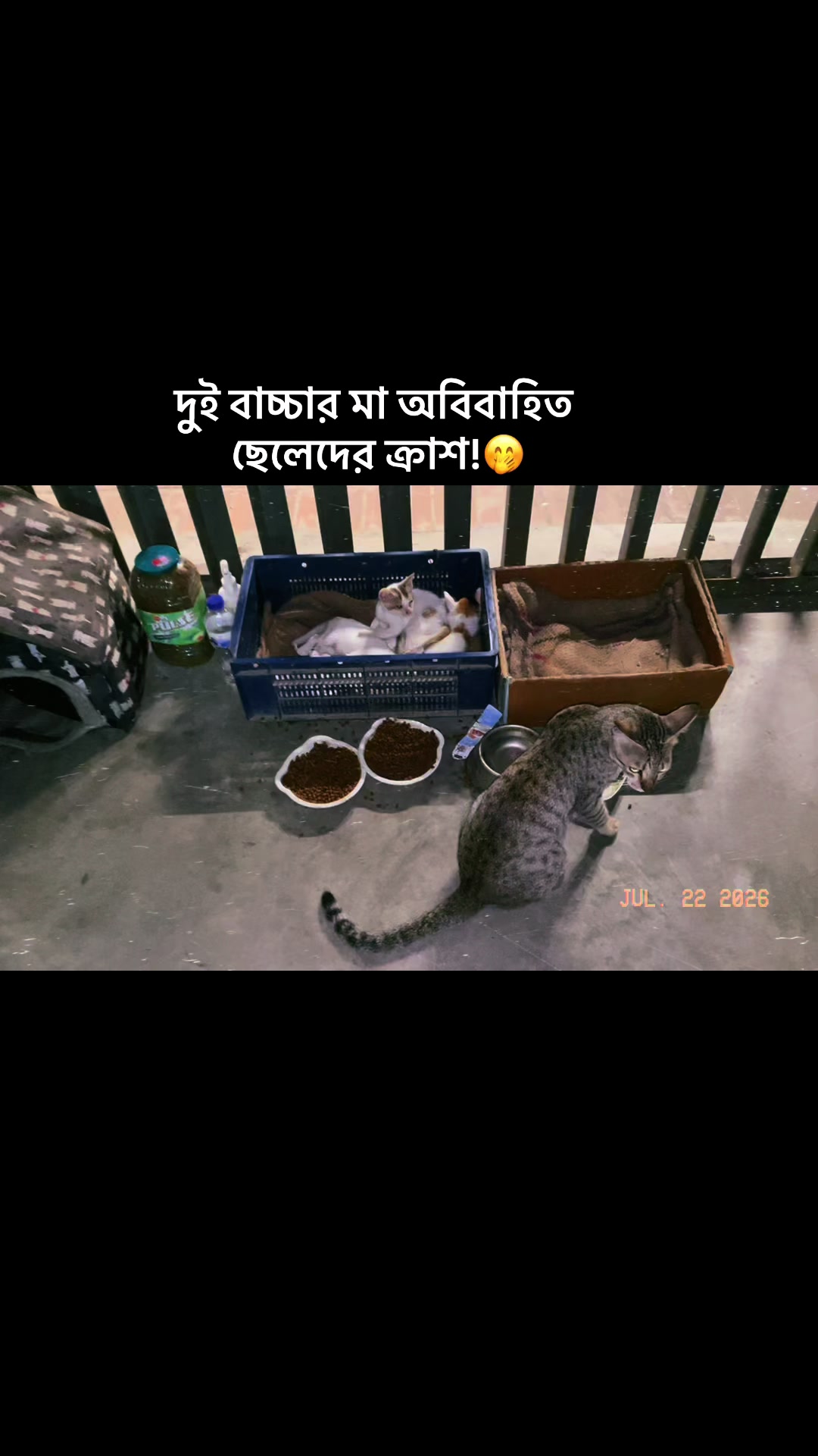 @Asfia Tabassum Ayat
