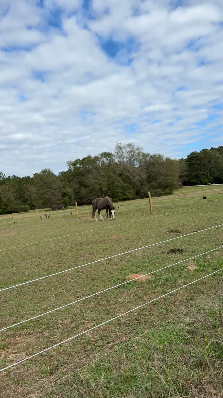@genarovillanueva57