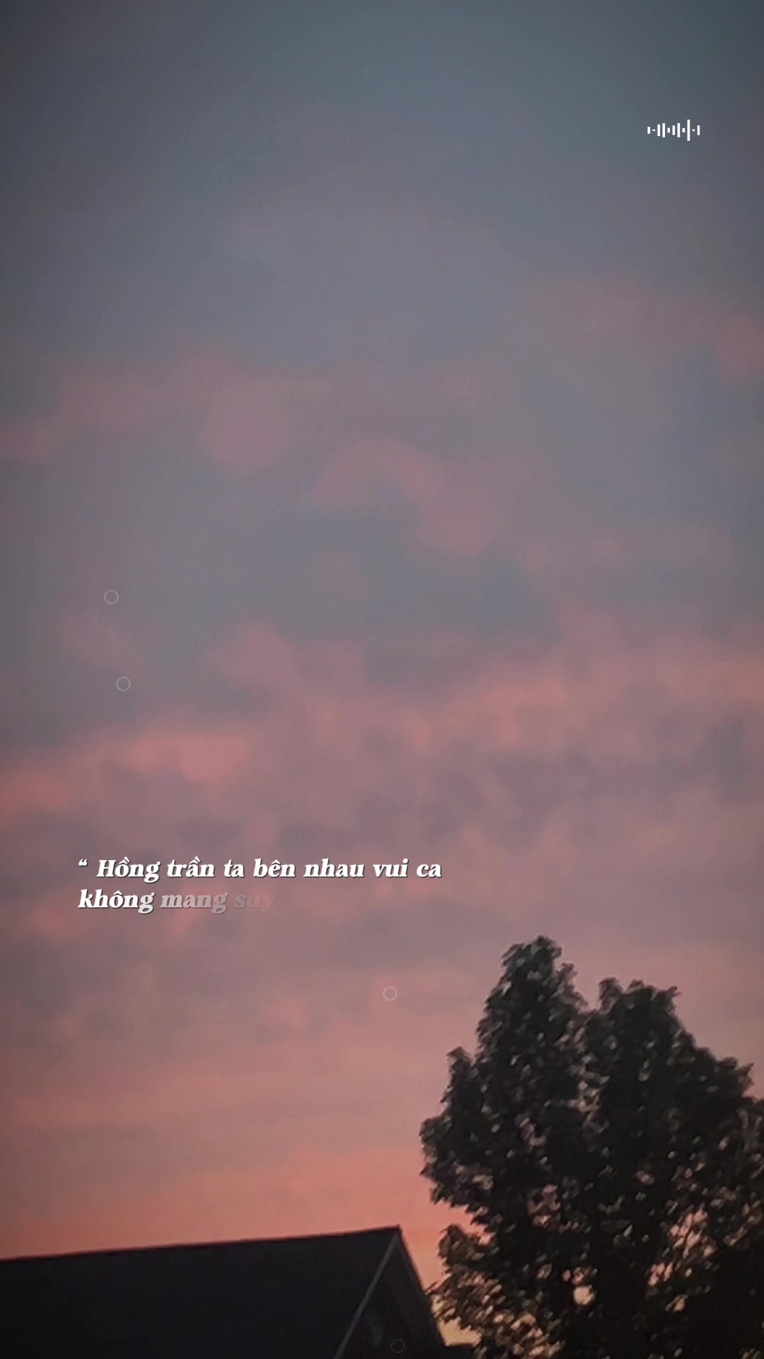 @Nhung Luu๐บ๐ธ๐ป๐ณ