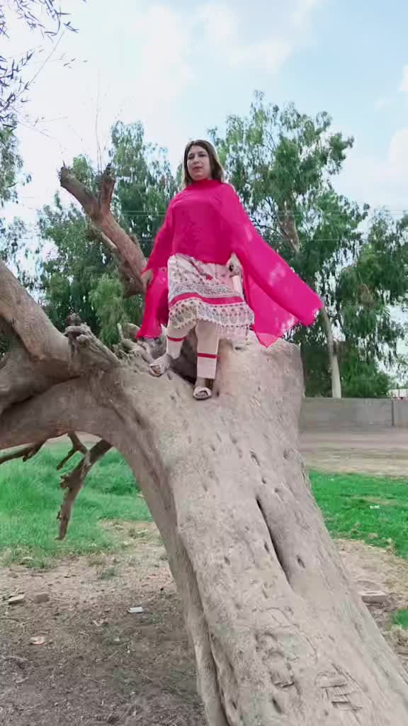 @shezadi