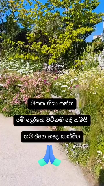 @Niro ❤️💐
