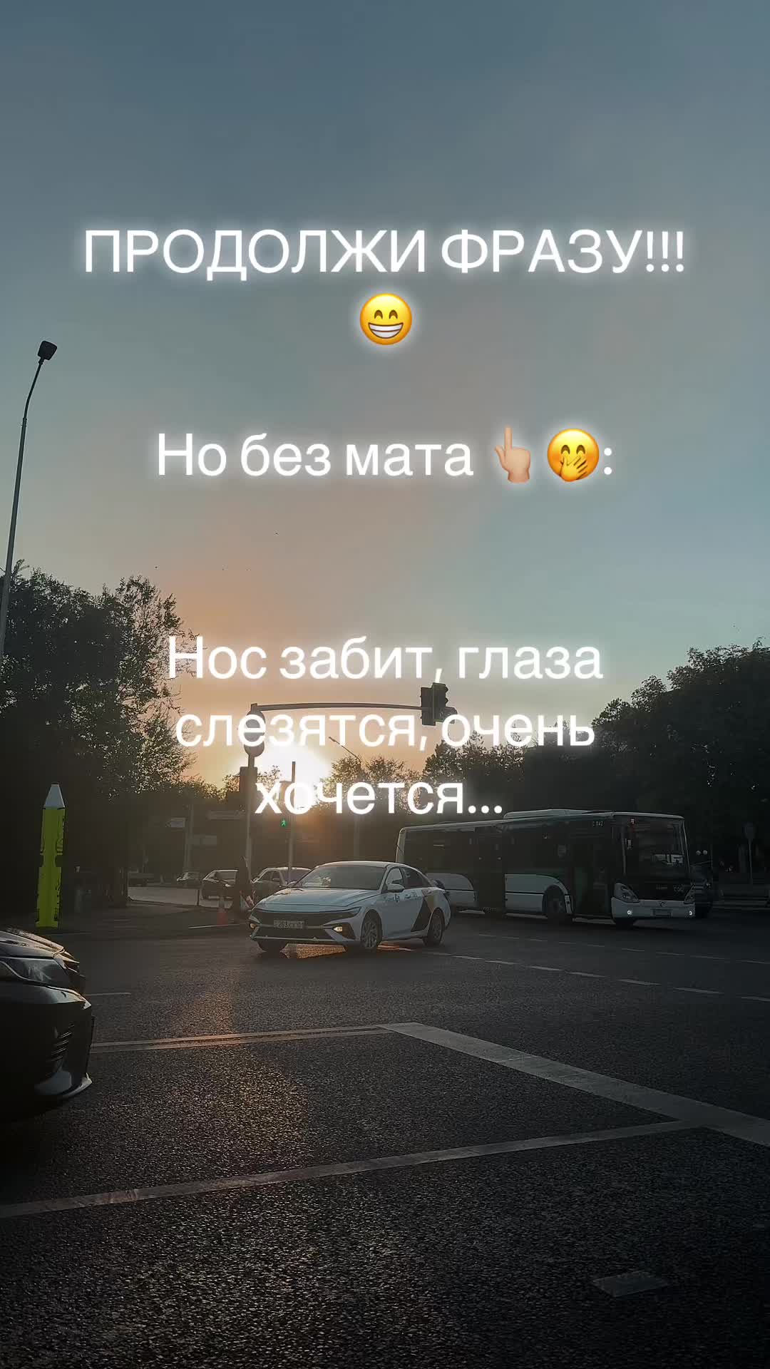@🦊 Marina