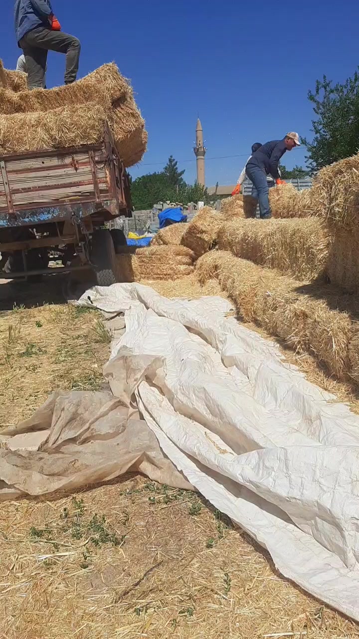 @&ouml;zen krbck 42